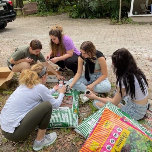 IMG-4687