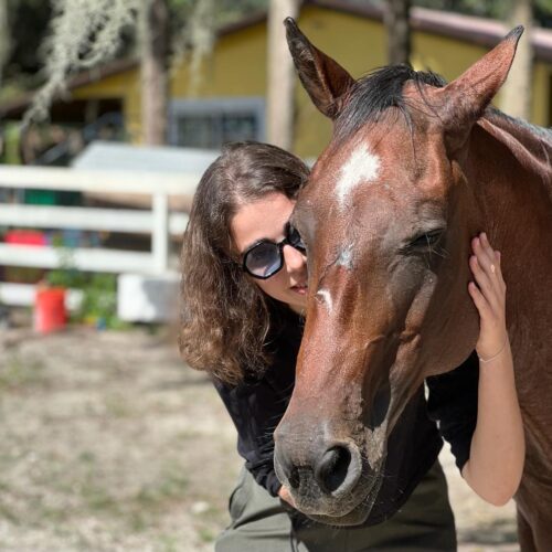 Jewish Recovery Center - interaction with a horse